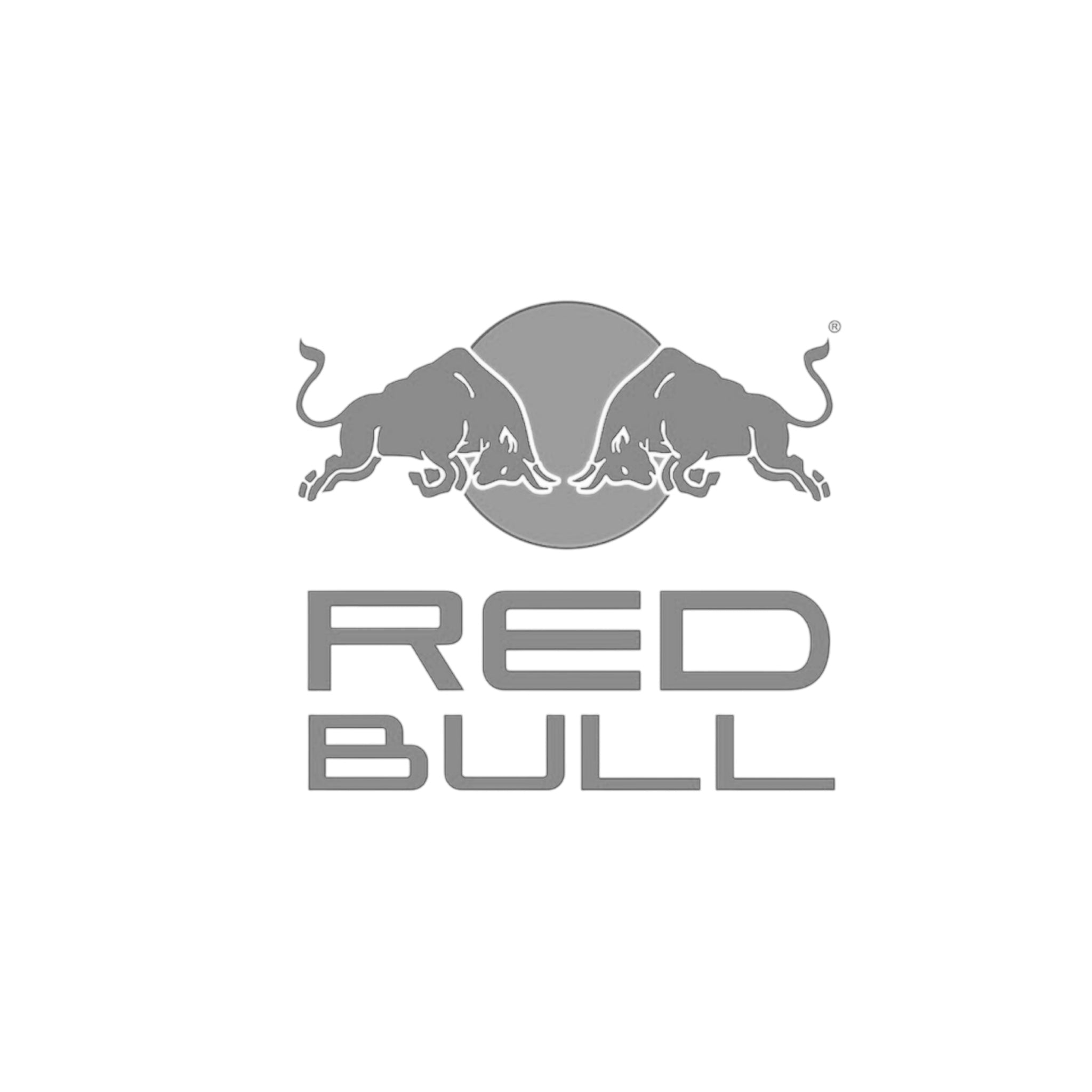 REDBULL Endless Racegear