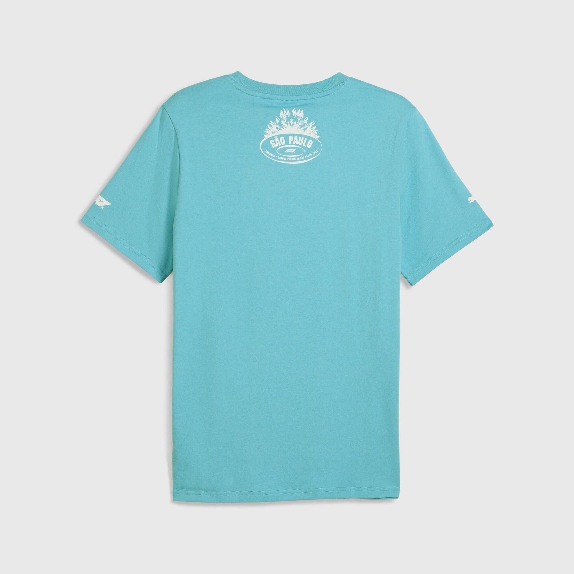 Formula 1 Tech Collection F1 Brazil GP T-Shirt - Blue/White Formula 1