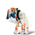 2026 Visa CashApp VCARB F1 Team Replica Racing Suit Endless Racewear