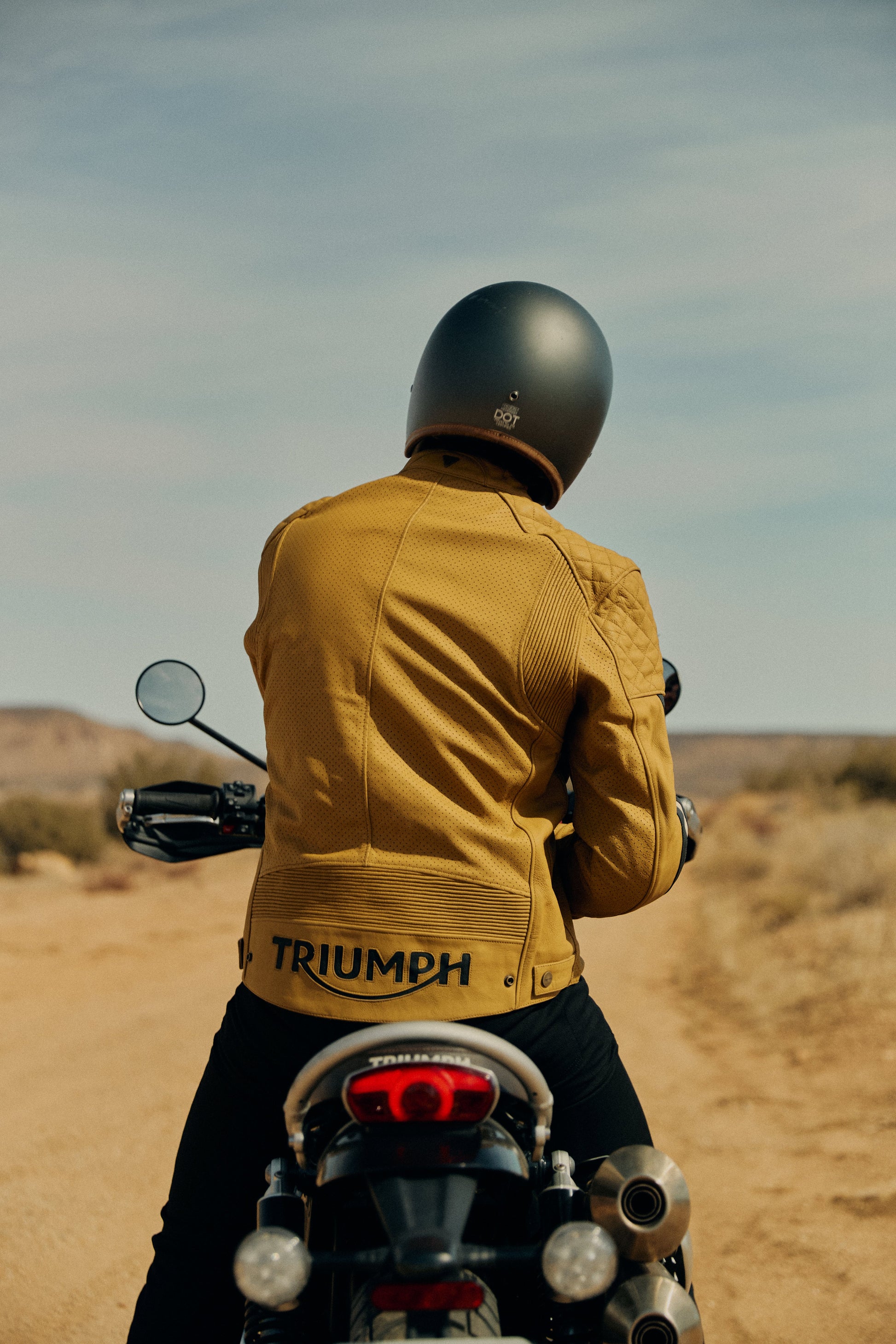 Braddan Gold Retro Air Race Leather Jacket Triumph
