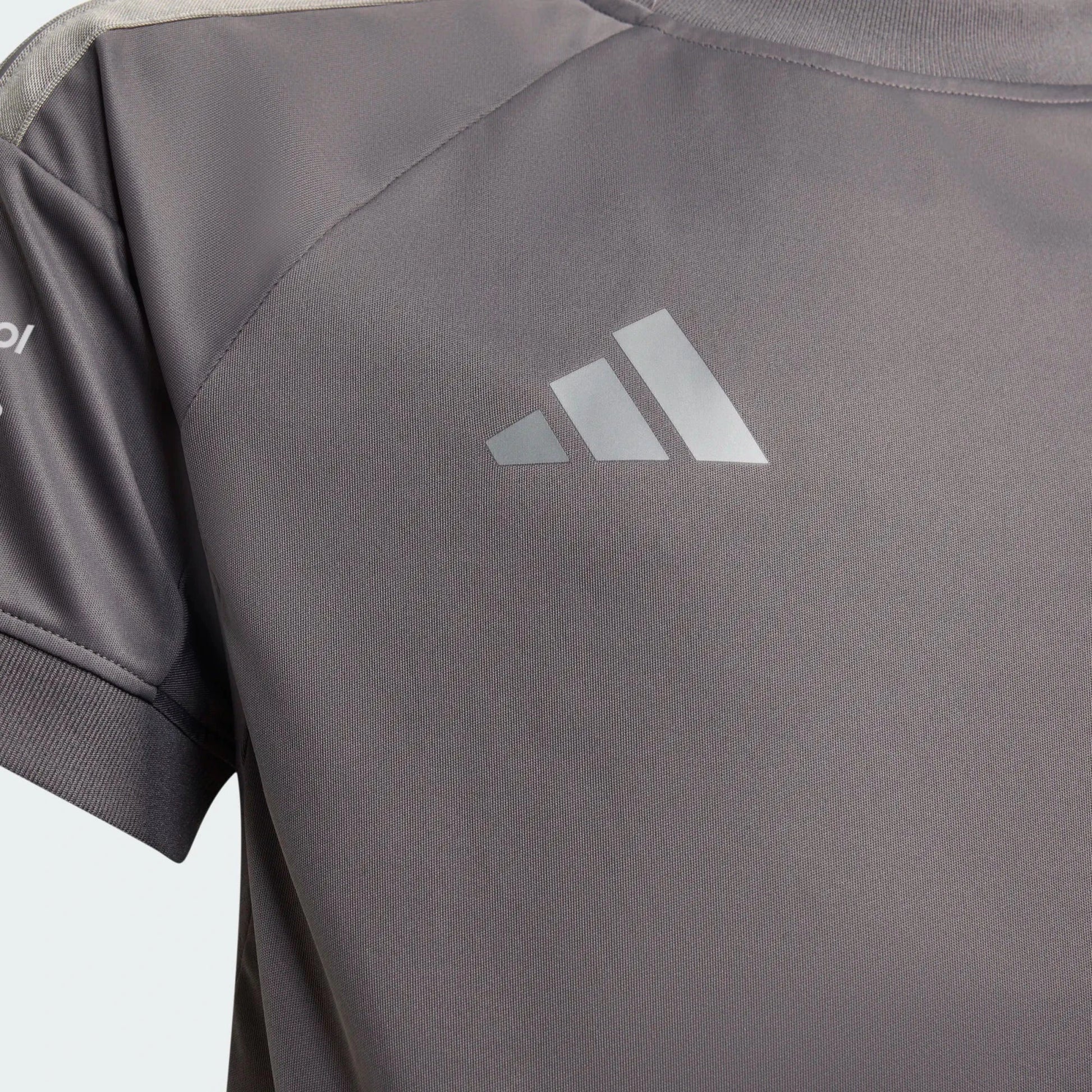 Audi Formula One 2026 Kids Team Driver T-Shirt - Youth Gray Audi F1