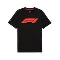 Formula 1 Tech Collection F1 Essential Logo T-Shirt - Black/White/Red/Seafoam T-shirts Formula 1 XS Black 